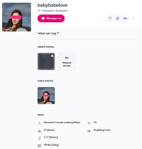 Ashley Madison example profile